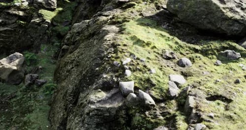 Realistic Rocky Mossy Mountain Terrain Flyover Animation