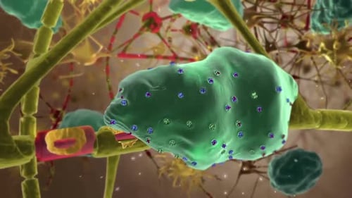 Rendu 3D détaillé d'un neurone avec des synapses et des dendrites