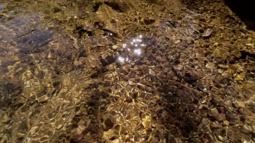 La luz del sol brilla y baila sobre el agua de un arroyo de agua dulce en Misuri.