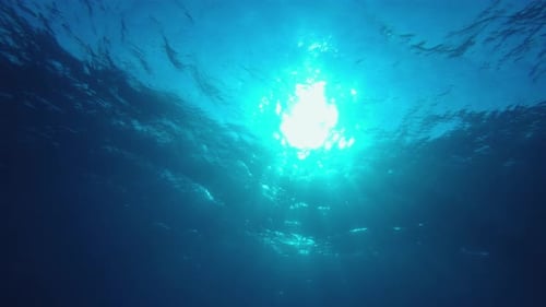 Underwater Blue Turquoise Sea
