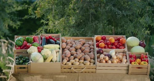 A Beautiful Stall with Vegetables at the Farmers' Market Healthy Food From Local Farmers