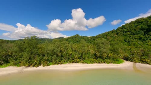 Crystal Clear Water White Sandy Beach and Palm Trees on Tropical Paradise