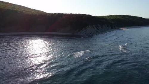 Beach Between a Ledge Covered with Vegetation and a Black Sea Under a Clear Blue Sky