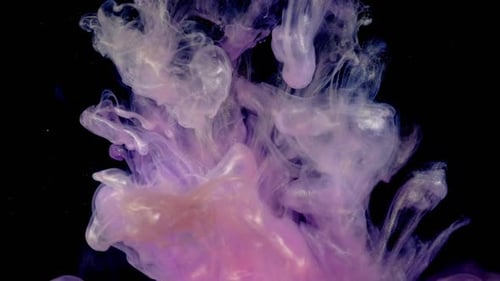Pink and Purple Ink Swirling in Water
