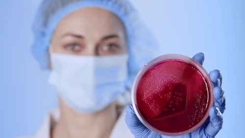 Researcher Holding Petri Dish with Red Culture