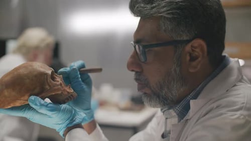 Archaeologist Inspecting Skull with Probe during Laboratory Research