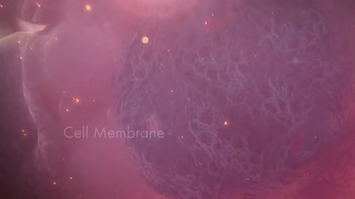 Animated cell membrane structure in realistic microscopic view