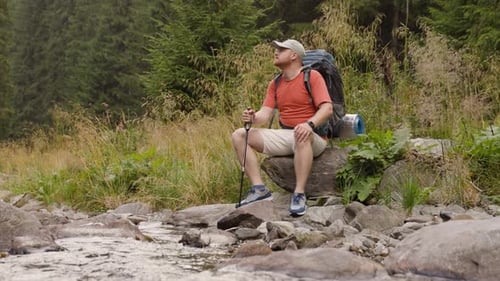 Traveling Man Sitting on Rock in Forest