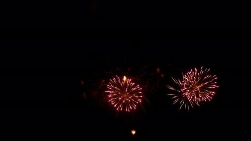 Beautiful Fireworks Exploding in the Dark Night Sky