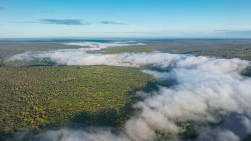 Aerial Hyperlapse over River in the forest