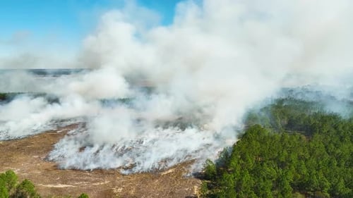 Aerial View of White Smoke From Forest Fire Rising Up Polluting Atmosphere