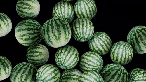 Watermelons Falling Transition