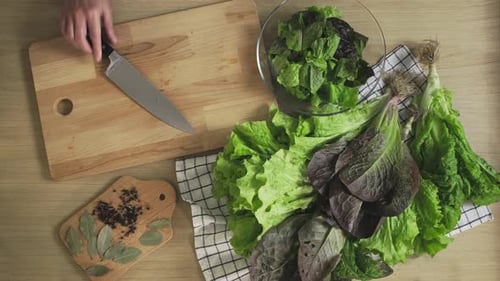 Chopping green lettuce leaves on cutting board to eat. Healthy food, Vegetarian salad with greens