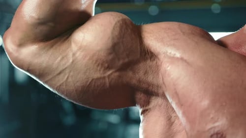CloseUp of a Man's Muscular Bicep During a Focused Bicep Curl Exercise