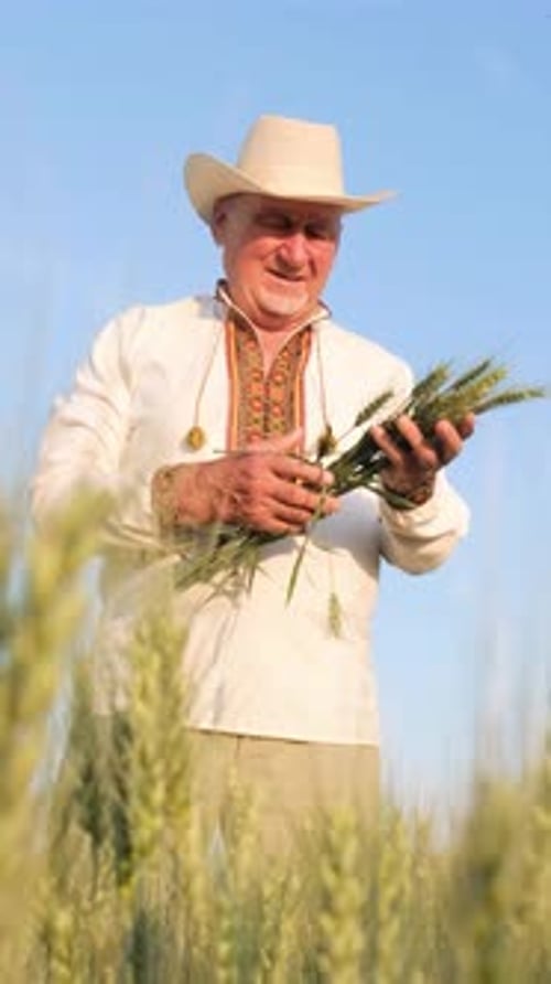 Man in a Cowboy Hat in Wheat Field Under Sunny Sky