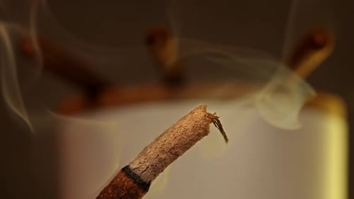 Macro shot of Incense sticks with long ash smoldering with puffs of smoke