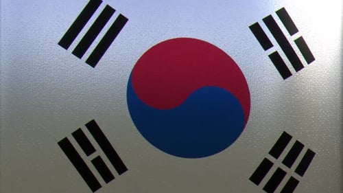 South Korean Flag Waving Loop with Subtle Texture and Light