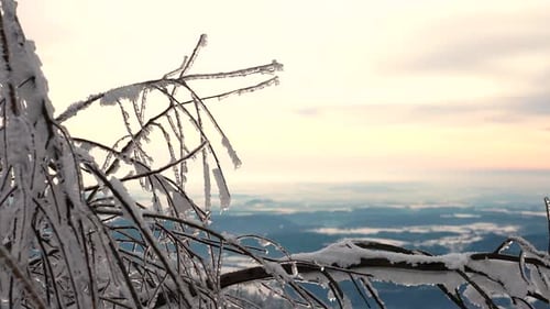 Icy Tree Branches with Snowy Mountain Landscape