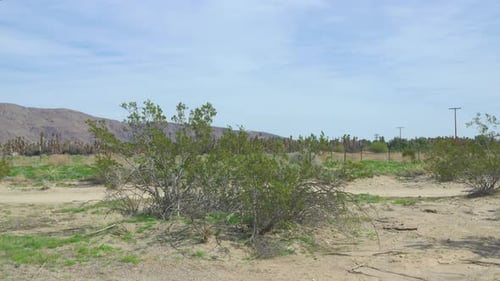 Large mountains in the background on a sunny day with a sand covered path and large shrubs in the fo