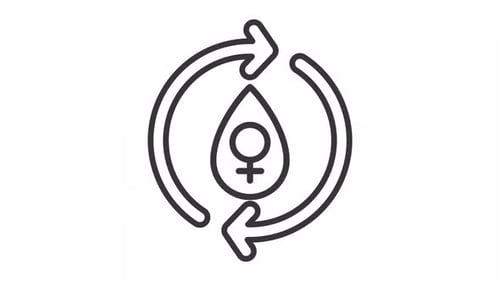 Menstrual cycle line animation