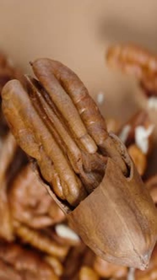 Vertical video. Peeled pecan nuts pouring onto the table, top view of a rotating pecan. Slow motion.