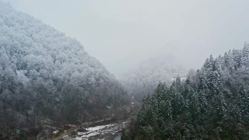 Aerial Winter Mountain Valley with Snowy Forest and Flowing River