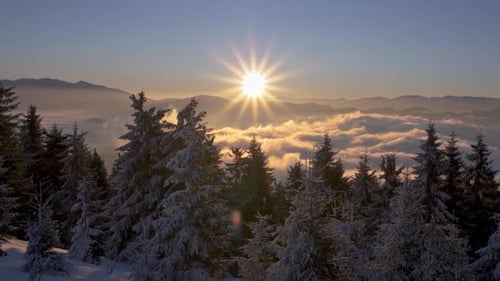 Sunrise
