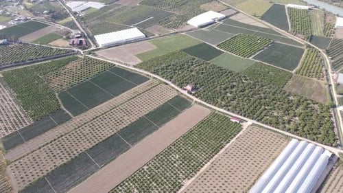 Overhead Farmland