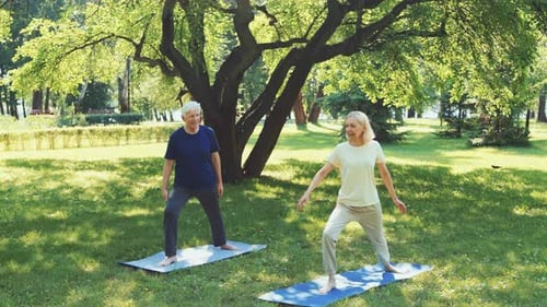 Senior Couple Doing Yoga in Park Under Tree Shade