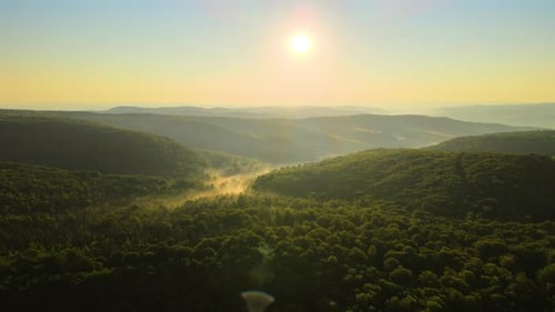 Aerial View of Bright Foggy Morning Over Dark Forest Trees at Warm Summer Sunrise Beautiful Scenery