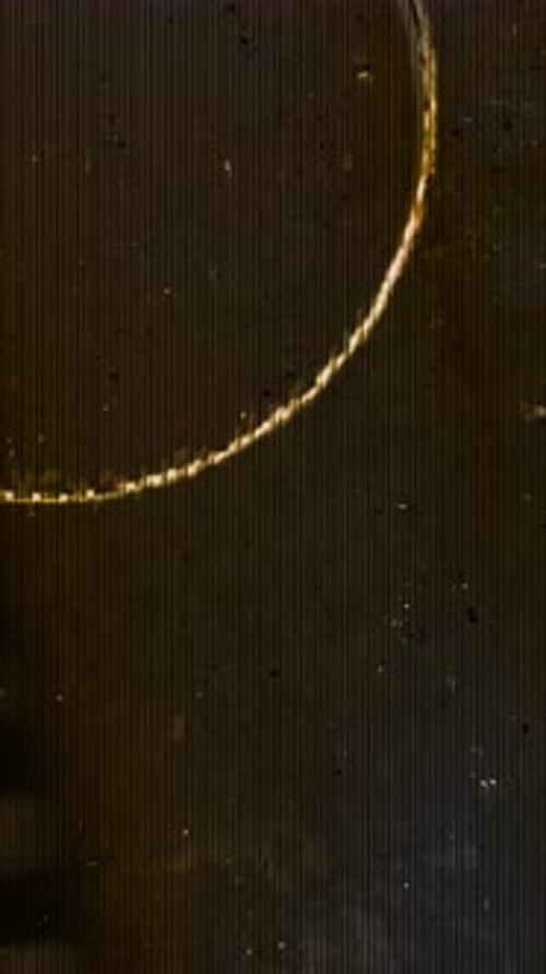 Vertical Distressed Grunge Overlay with Dusty Film Texture