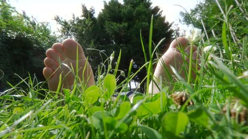 Male feet in tall grass moving with the wind, relaxing in nature summer time