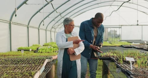 Two People Examining Seedlings in a Greenhouse