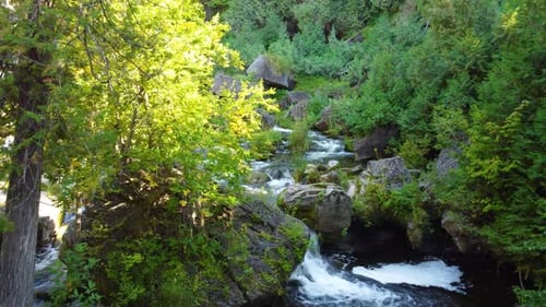 Natural waterfalls and river. Green vegetation. Complete aerial sequence.