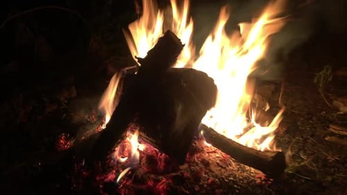 Firewood burn at night