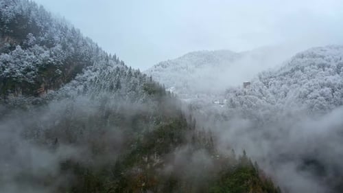 Snow Covered Mountain Forest in Misty Winter Landscape