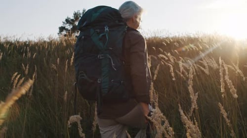 Senior Man Walks Through Tall Grass Field at Back Sunset Light