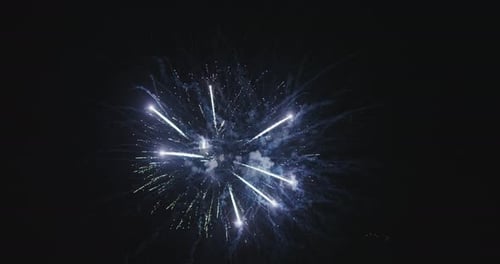Colorful Fireworks Exploding in the Night Sky