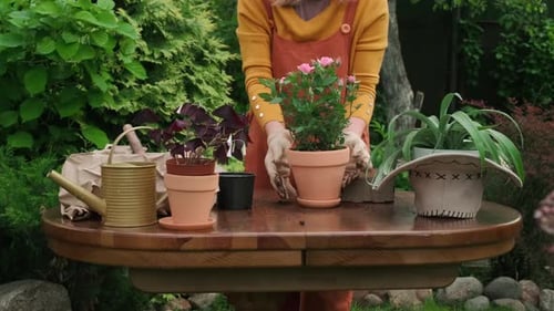 Female Gardener Replanting Potted Plants in Backyard Garden