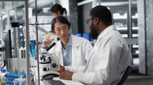 Colegas de laboratório de diagnóstico usando microscópio