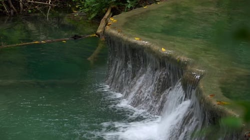Kleiner Wasserfall in einem grünen Wald