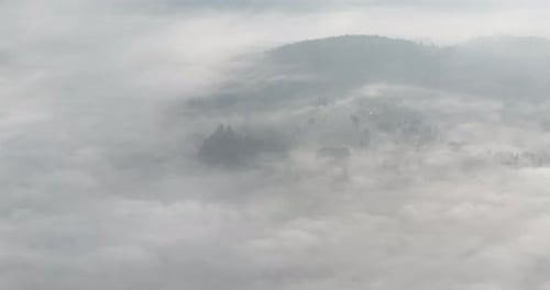 Aerial Drone Footage of Misty Fog Blowing Over Pine Tree Forest on a Beautiful Morning