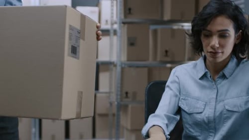 Female Inventory Manager Scans Cardboard Box with Barcode Scanner, Worker Puts Package on the Desig