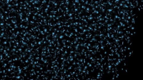 Snow Flakes Overlay 9
