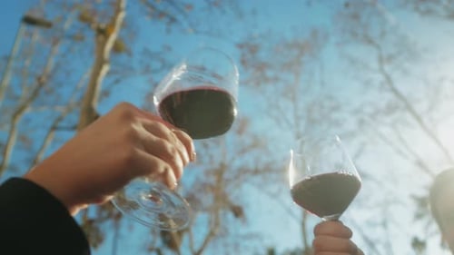 Young Men Having Fun Togethercelebrating and Cheers Drinking Red Wine and Clinking Glasses
