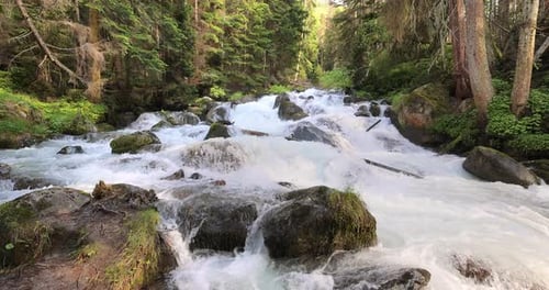 Mountain River in the wood. Beautiful wildlife landscape.