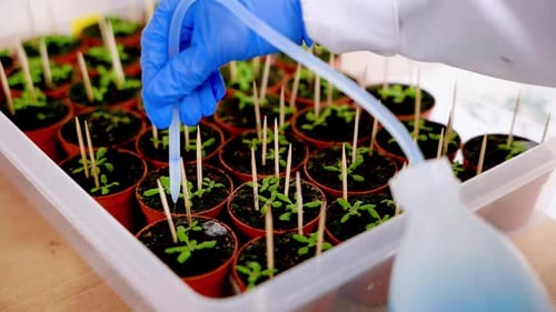 Close up of а scientist puts a preparation into plant samples