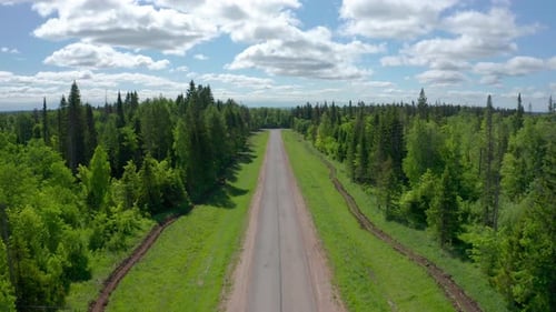 Camera moves over the asphalt road in the forest
