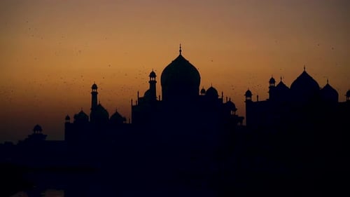 Rebanho sobrevoando o Taj Mahal, nascer do sol no Taj Mahal, Agra, Índia