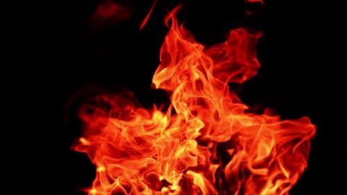 Dangerous fire with hot flames going up. Campfire at dark night. Close up.